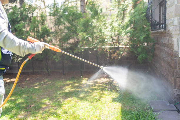 Best Wasp Removal Services  in Coldwater, OH