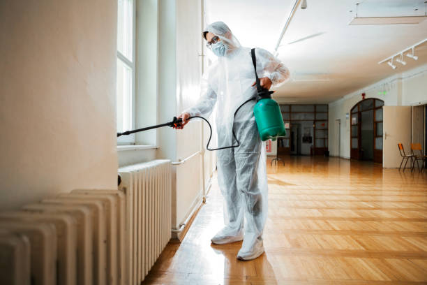 Best Affordable Pest Control Services  in Coldwater, OH